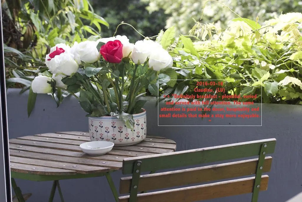 B&B D&F Suites Brussels Bed & Breakfast